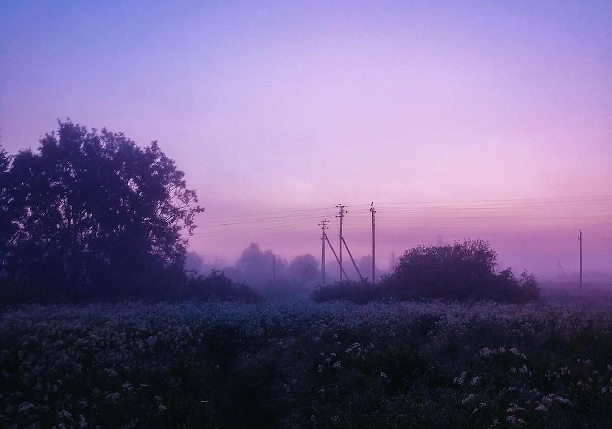 金正恩回到平壤 朝方公布列车内照片